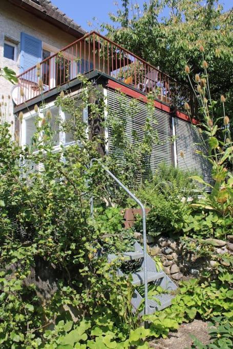 Erholung Mit Seesicht, Terrasse Und Garten Uberlingen Dış mekan fotoğraf