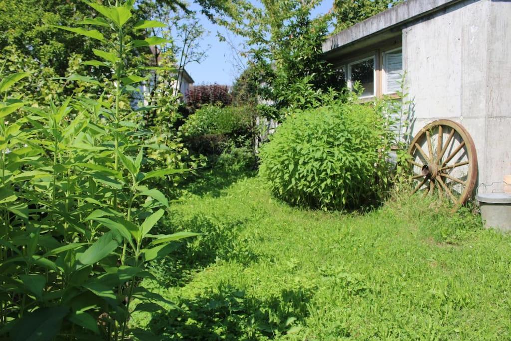 Erholung Mit Seesicht, Terrasse Und Garten Uberlingen Dış mekan fotoğraf